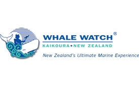 Kaikoura Whale Watch
