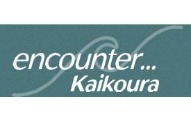 dolphins encounter Kaikoura