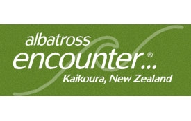 Albatross Encounter